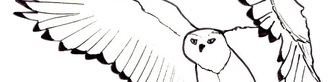 Compagnia teatrale della Civetta